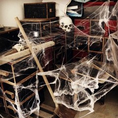 Halloween Spider Web with Black Spider Stretchable Cobweb Party Decoration
