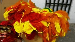 Chinese Dancing Lion | Two Person Lion Dance Costume – complete