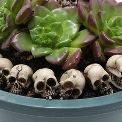 20pcs Mini Skulls Decor Skeleton Head Crafts Mini Skulls Set Garden Decor
