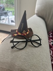 Harry Potter First Birthday Party Decorations- High Chair Banner, Party Hat,More
