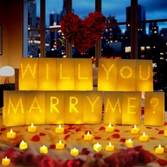 Will You Marry Me Light Up Letters Luminary Bags, Marry Me Sign Banner, Roman…