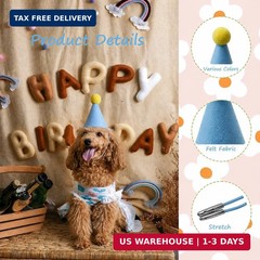 Mini Party Hats for Stuffed Animals 6 Pcs Colorful Cute Birthday Party Cone Hats