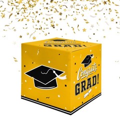 Graduation Decorations – 1 Count (Pack of 1), Yellow