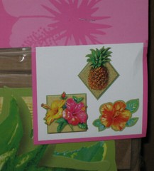 (12 packages of 3) Creative Converting Tahiti Tropics Party Assorted Cutouts