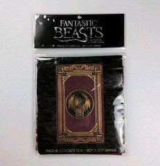 New Fantastic Beasts & Where to Find Them Banner 30″x50″ Magical Congress Seal