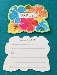 Party Invitations. 16 Fun Festive You’re Invited Party Invitations. Brand New!