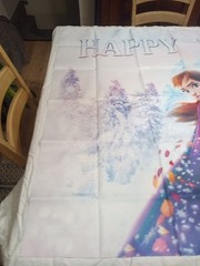 Frozen Happy Birthday Banner Wall Hanger Backdrop 58 X 38.5 Inch Party Supplies