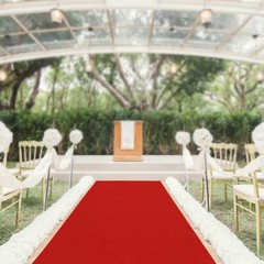 3×33Ft Red Carpet Runner Thickened Non-slip Runway Rug for Weddings Parties US