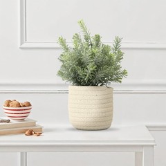 Hopewood Small Artificial Plants Eucalyptus with a Weave Green Plant Style B