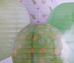 Celebrate It Summer Outdoor Entertaining Decor Kit Paper Lanterns Set of 4 New