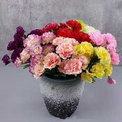 10 Heads Artificial Carnation Home Decor Multi Color Beauty Silk Fake Flower