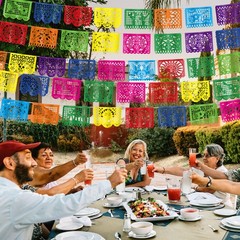 20 Pack Cinco De Mayo Banner, 360 FT Fiesta Banner Mexican Party Decorations …