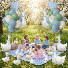 Silly Goose Birthday Decorations for Boys – Blue Balloons, Hats & Bow, 1st Party