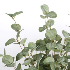 VGIA 6 Pcs 27″ Eucalyptus Stems Greenery 27 Inch x 9.5 Inch, Green – 6
