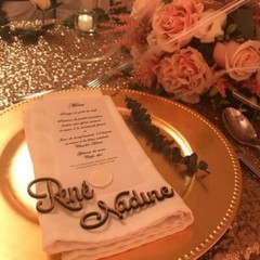 Personalized Wedding Place Cards Acrylic Table Name Calligraphy Wedding Any Font