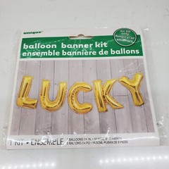 Gold Party Backdrop & LUCKY Balloon Banner Dots Special Event Décor