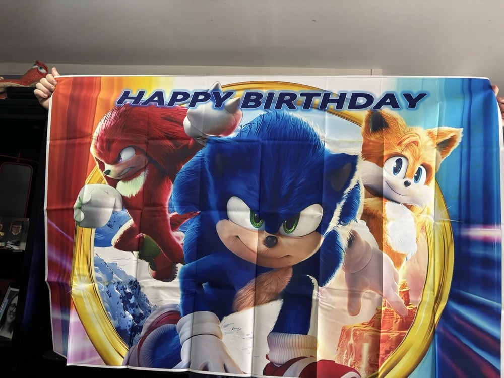 Sonic Hedgehog Birthday Party Banner (5×3) and Supplies