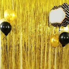 Foil Fringe Backdrop Curtain 5.90′ (ft.) x 7.87′ (ft.) for All Ocassions