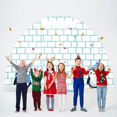 4 Pcs Winter Igloo Door Decorations Penguins Door Backdrop Classroom Decor Ph…