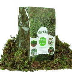 USMOLA Artificial Moss for Indoor Plants, 16OZ 10x7x4 inches, Natural Green