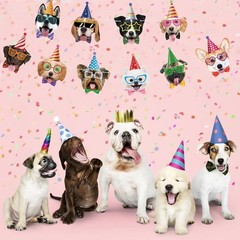 Dog Birthday Banner Dog Faces Themed Party Decorations Puppy Happy Birthday Bann