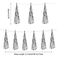 30Pcs Bright Silver Tassel Garland Banner with Rope