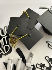Graduation Party / Cake Decorations Supplies Bundle Table Cake Decor