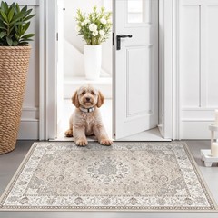 Washable 2×3 Entryway Area Rug – Neutral Kitchen 2′ x 3′ (Rectangular), Beige