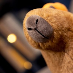 Cute Capybara Plush Toy with Mini Pumpkin Fall Stuffed Animal Decor Gift