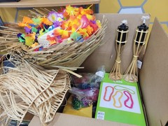 Luau Party Pack