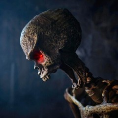 5 ft Poseable Human Size Decayed Skeleton Skull w/LED Eyes Halloween Decor Props