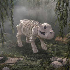 22″ Standing Hippo Skeleton Halloween Decoration – Morris Costumes
