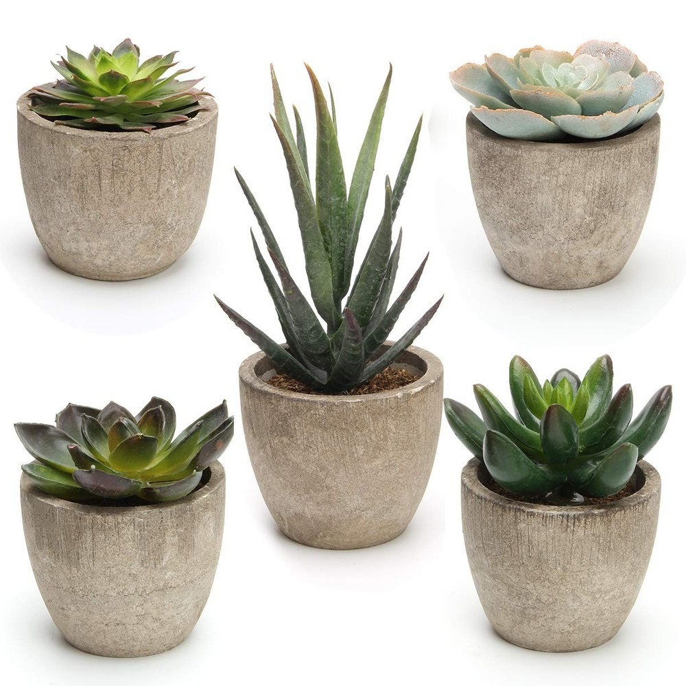 Coitak Artificial Succulent 2.75 inches (height) x 2.5 (width), Green