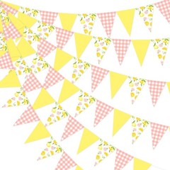 Lemon Party Decorations – 3PCS Lemon Bunting Banners, Pink and Yellow Lemon T…