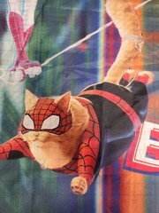 Spider-Man Happy Birthday Banner Flag 3′ X 5′ Large Spider-Gwen Miles Morales B5
