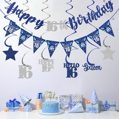 Blue Silver 16th Birthday Decorations for Boys Girls, Happy