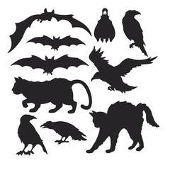Beistle 01019 Halloween Silhouettes Black 50 inch 12 Functional Standard