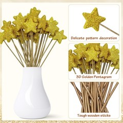 160 Pcs Gold and Silver Star Decor Set with Flat Star Picks and Mixed Sticker…
