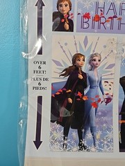 Disney FROZEN 2 Scene Setter HAPPY BIRTHDAY wall poster backdrop Anna Elsa