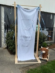 Party Backdrop for any occasion