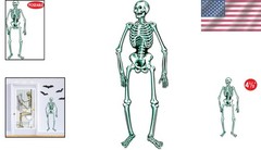 Creepy Jointed Skeleton Decoration – 4′ 7» Flexible Poseable Prop for Halloween