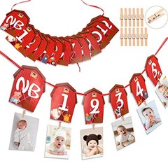 Farm Animal Theme Photo Banner 1st Birthday Monthly Banner Newborn to 12 Month
