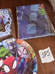 SPIDERMAN SUPERHEROS BIRTHDAY PARTY PACK (SP5) SM1