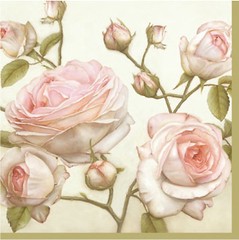 Decoupage Paper Cocktail Napkins Lucy Beauty Roses Cream Pink Vintage 40pcs