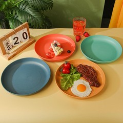 Dinner Plates Set of 4, 8 Inch Plastic 8 inches, 4 Stripe