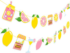 2Pcs Pink Lemonade Party Banners Lemon Citrus Garland, Summer Fruit Lemonade Sta