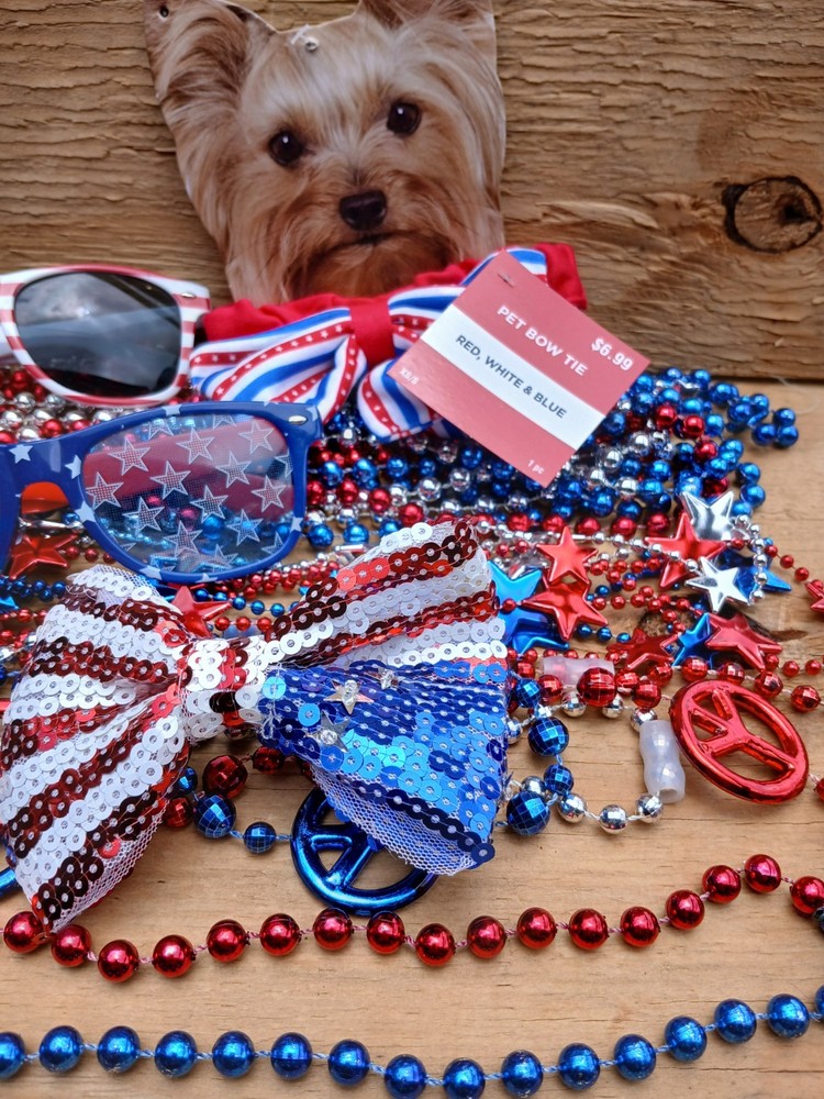 4th of July accessories Lot