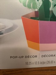 Hallmark Celebrate Pop Up Decor Table Centerpiece Plant Celebration Party