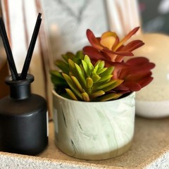Karlliu Artificial Plants Cute Colourful Succulents in 4×4 inch, Colorful