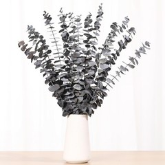 16 Pcs Dried Eucalyptus Stems, 17» Natural Leaves Z-black